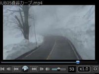 05桑谷カーブCUF02ブナの木地点 20050413